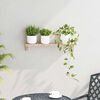 vidaXL Polica za Ob hanging na Zidu Zidne Prirodna 62 x 10 x 12,5 cm