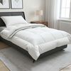 Sličica proizvoda 2 od 12