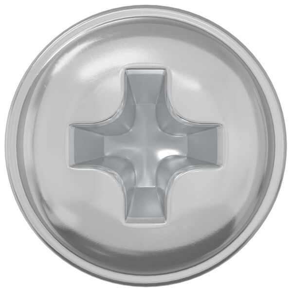 vidaXL Zaključni vijci 2 pcs Srebrno M4 x 5 mm Željezo