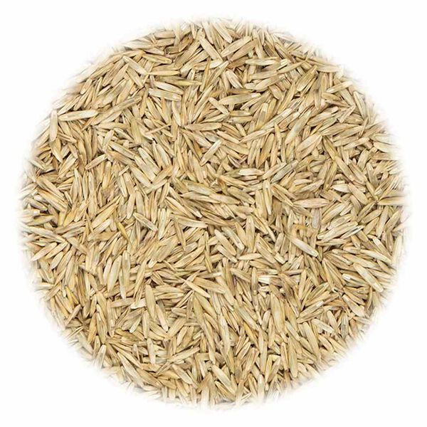 vidaXL Sjeme trave za područja za sport i igru 15 kg