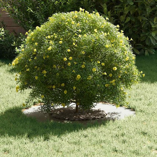 vidaXL pogodno za ravni drveni prsten Bijelo &Oslash;30 / 60 cm Čelik