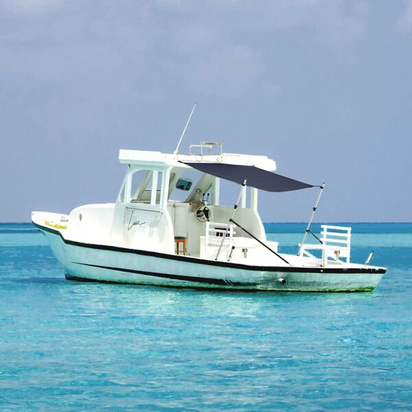 vidaXL Nastavak za sjenilo s vrhom T oblika modri 170x208x(115-183) cm