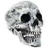 vidaXL Halloween lubanja SPOOKA 2 kom. Bijela 12 x 15 x 17,5 cm