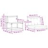 vidaXL Set vanjskih sofa s jastukom 3 pcs Prirodna i krem