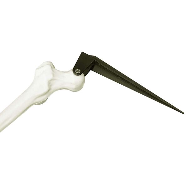 vidaXL Halloween Skelet Bijelo 45,5 x 13 cm Plastika