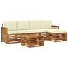 vidaXL Set vanjskih sofa s jastukom 6 pcs Prirodna i krem