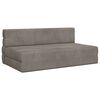 vidaXL Sofa na razvlačenje Svjetlosiva 152 x 86,5 x 60 cm Tkanina