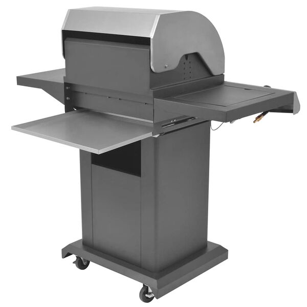 vidaXL Plinski ro&scaron;tilj s plamenikom Srebrno Čelik s metalnom cijevi