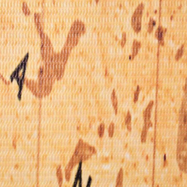 vidaXL Sklopiva sobna pregrada s kartom svijeta 120 x 170 cm žuta