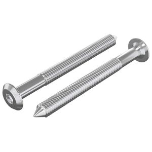 vidaXL Namje&scaron;tajni vijci 2 pcs Srebrno M6 x 60 mm Čelik