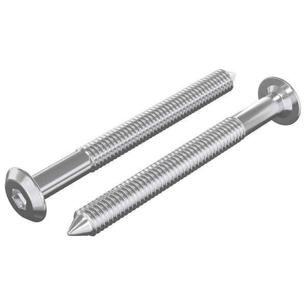 vidaXL Namje&scaron;tajni vijci 2 pcs Srebrno M6 x 60 mm Čelik