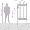 vidaXL Vrata za ogradu Assen s lučnim vrhom čelik 102x200 cm crna