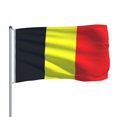 vidaXL Belgijska zastava s aluminijskim stupom 6 m