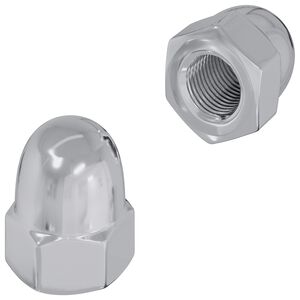 vidaXL Žir 2 pcs Srebrno M6 x 10 mm Željezo