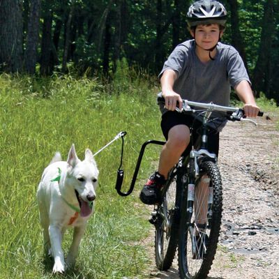 SPRINGER komplet za vježbanje pasa za bicikl