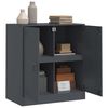 vidaXL Komoda antracit 67 x 39 x 73 cm čelična
