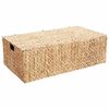 vidaXL Kutija za spremanje Prirodna 60 x 38 x 20 cm Zumbul