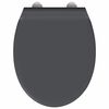 vidaXL WC s brzim otpuštanjem prikladan za sjedalo Antracit