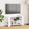 vidaXL Stalak za TV Bijelo 100 x 40 x 50 cm
