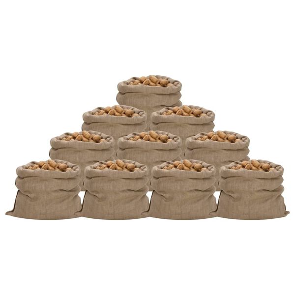 vidaXL Jutene vreće 10 kom 100 x 110 cm 100% juta 340 g/m&sup2;