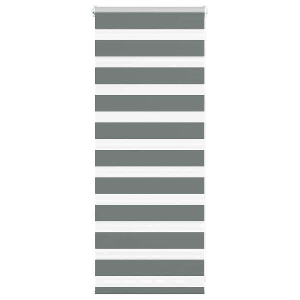 vidaXL Zavjesa zebra 65x100 cm &scaron;irina tkanine 60,9 cm poliester