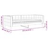 vidaXL Dnevni krevet s madracem tamnosivi 80 x 200 cm baršunasti