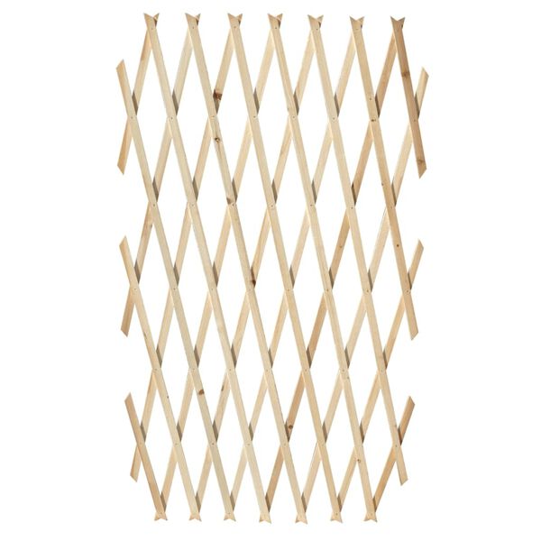 vidaXL Rešetkasta ograda od masivnog drva 5 kom 180 x 90 cm