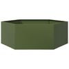 SteelGreen