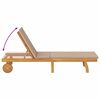 vidaXL Ležaljka s jastukom Sivo-smeđa Čvrsto drvo akacije