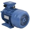 vidaXL Trofazni električni motor aluminijski 3 kW / 4 KS 2840 o/min