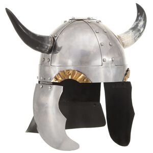vidaXL Fantastična vikin&scaron;ka kaciga za LARP srebrna čelična