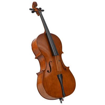 vidaXL Set violončela s torbom i gudalom od prirodne dlake 4/4