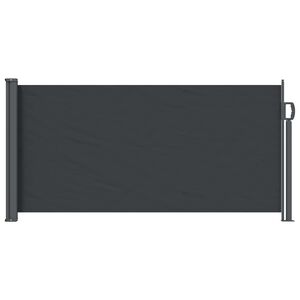 vidaXL Retraktabilna bočna tende Crna 300 x 100 cm Poliester