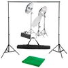 vidaXL Komplet za fotografski studio sa setom svjetiljki i pozadinom