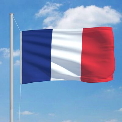 vidaXL Francuska zastava 90 x 150 cm