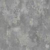DUTCH WALLCOVERINGS zidna tapeta s izgledom betona siva TP1008