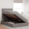 vidaXL Krevet s prostorom za pohranu s LED-om Sivo-smeđa 120 x 190 cm