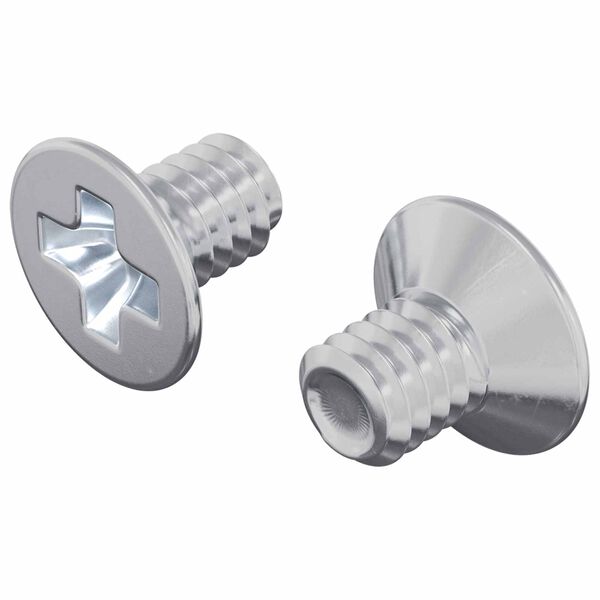 vidaXL Vijci s konusnom glavom 2 pcs Srebrno M4 x 6 mm Čelik