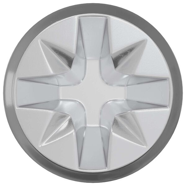 vidaXL Brava vijak s kamerom 2 pcs Srebrna i crna M6 x 40 mm Metal