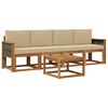 vidaXL Set vanjskih sofa s jastukom 4 pcs Prirodna