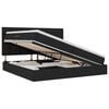 vidaXL Krevet s prostorom za pohranu s LED-om Crna 200 x 200 cm