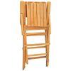 vidaXL Sklopive stolice 4 kom 55x61x90 cm Masivno drvo Teak
