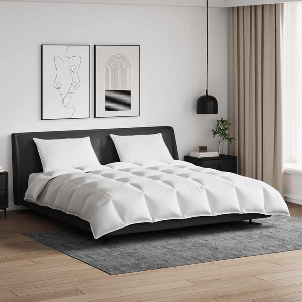 vidaXL Set deka s jastukom 3 pcs Bijelo Perje