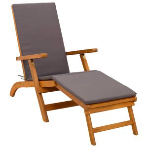 vidaXL Ležaljka koja se može preklopiti i nagnuti 55 x 146 x 91 cm