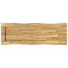 vidaXL Pravokutni stolni vrh 100 x 40 x 3,2 cm Pravokutni