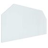 vidaXL Staklena ploča za kamin *Transparent*an 120 x 60 cm Stakl