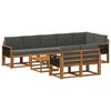 vidaXL Set vanjskih sofa 9 kom. Prirodna i antracit Poliester