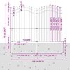 vidaXL Vrtna Ograda Siva 240 x 215 cm Čelik s pra&scaron;kastim premazom