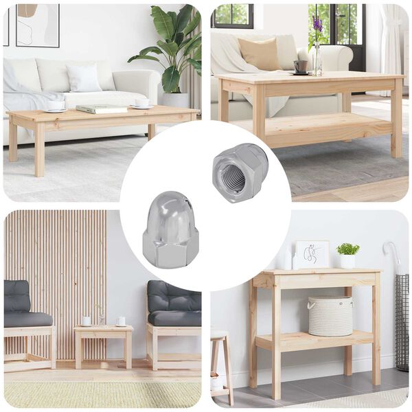 vidaXL Žir 2 pcs Srebrno M6 x 10 mm Željezo