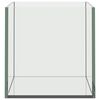 vidaXL Akvarij s pohranom *Transparent*an 30 x 20 x 20 cm Stakl
